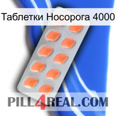 Таблетки Носорога 4000 26